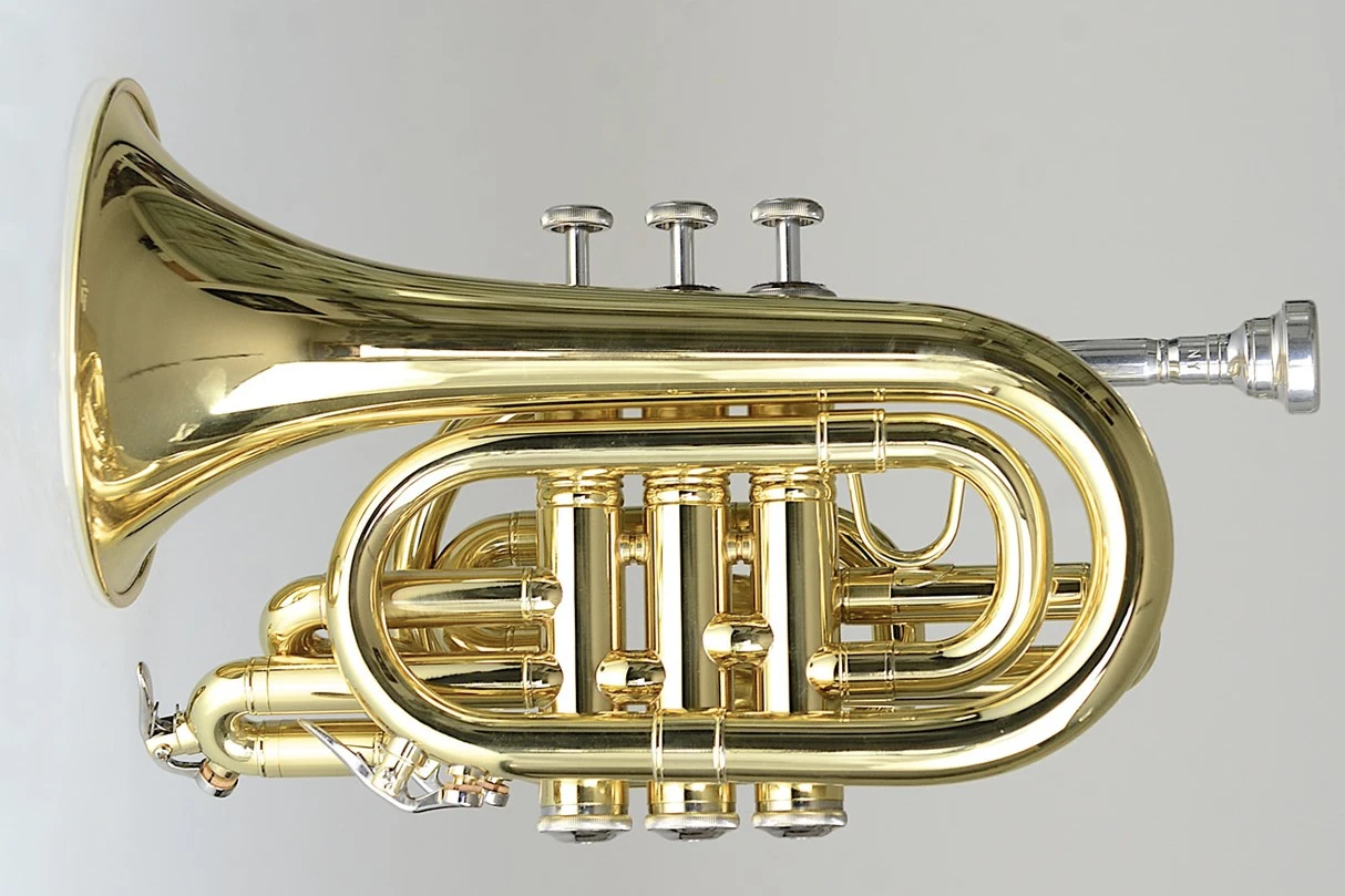 category-pro-pocket